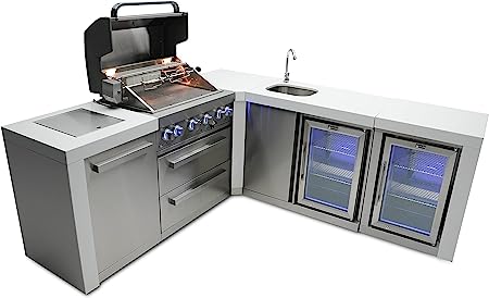 71HjliPAueL._AC_SX450_