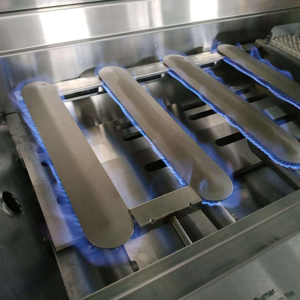 Grand Turbo 40-Inch 6-Burner Built-In Propane Gas Grill With Two Infrared Sear Burners & Rotisserie - B4019BLP Flame 1