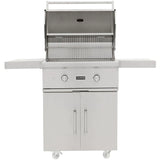 Coyote C-Series 28-Inch 2-Burner Natural Gas Grill - C1C28NG-FS