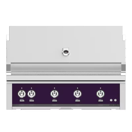 Hestan 42-Inch Built-In Natural Gas Grill W/ Rotisserie - Lush - GABR42-NG-PP (1)