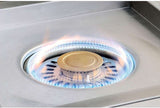 Alfresco 24-Inch Propane Gas Versa Power Cooking System - AXEVP-LP 1111111