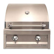 Artisan American Eagle 26-Inch 2-Burner Built-In Natural Gas Grill - AAEP-26-NG