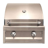 Artisan American Eagle 26-Inch 2-Burner Built-In Natural Gas Grill - AAEP-26-NG