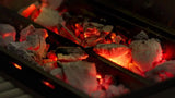 DCS Series 7 48-Inch Built-In Gas Grill With Infrared Sear Burner- NG- BH1-48RI-N